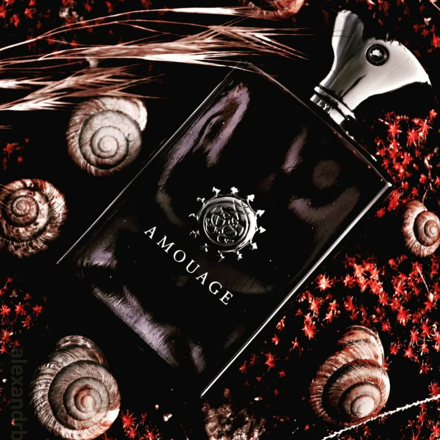 Amouage Lyric Man Eau de Parfum