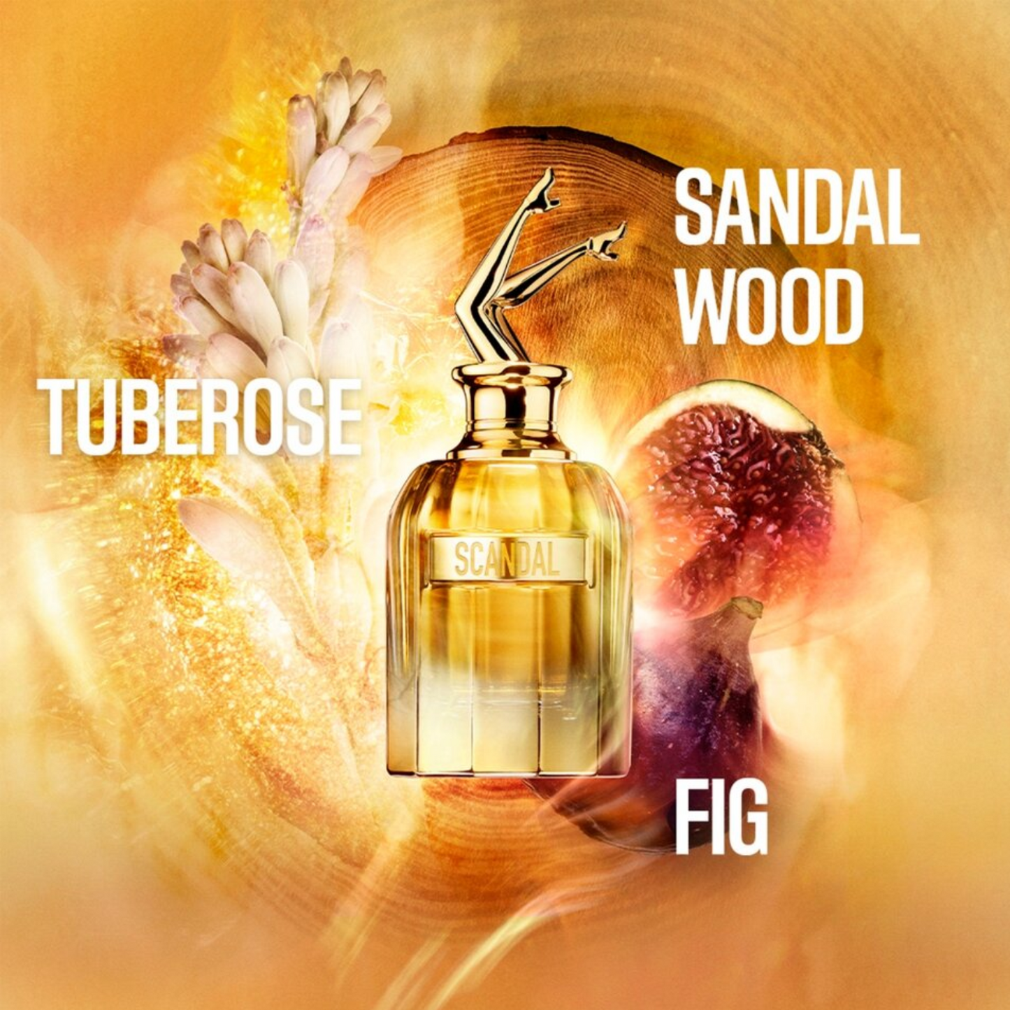 Jean Paul Gaultier Scandal Absolu pour femme Parfum