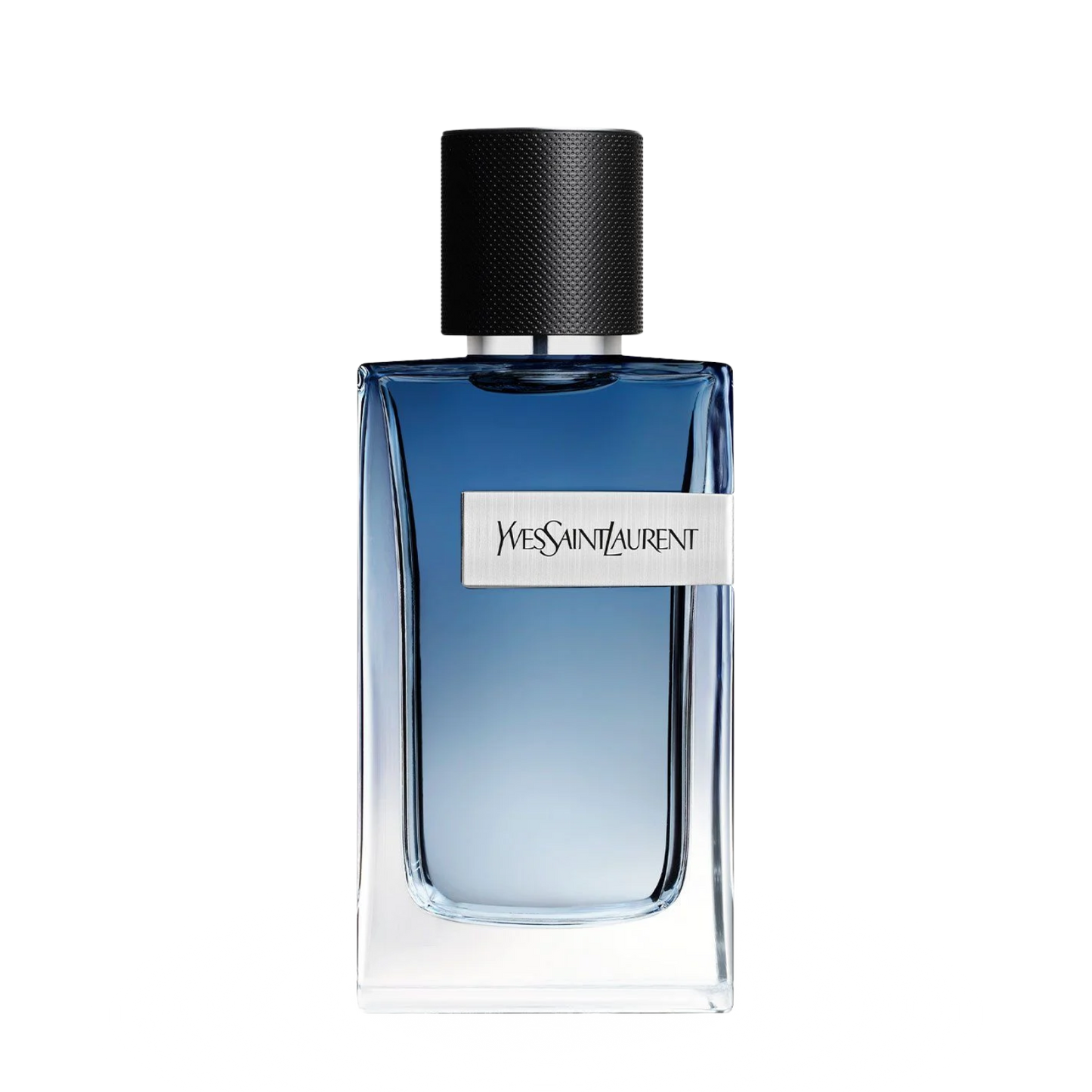 YSL Y Live Intense